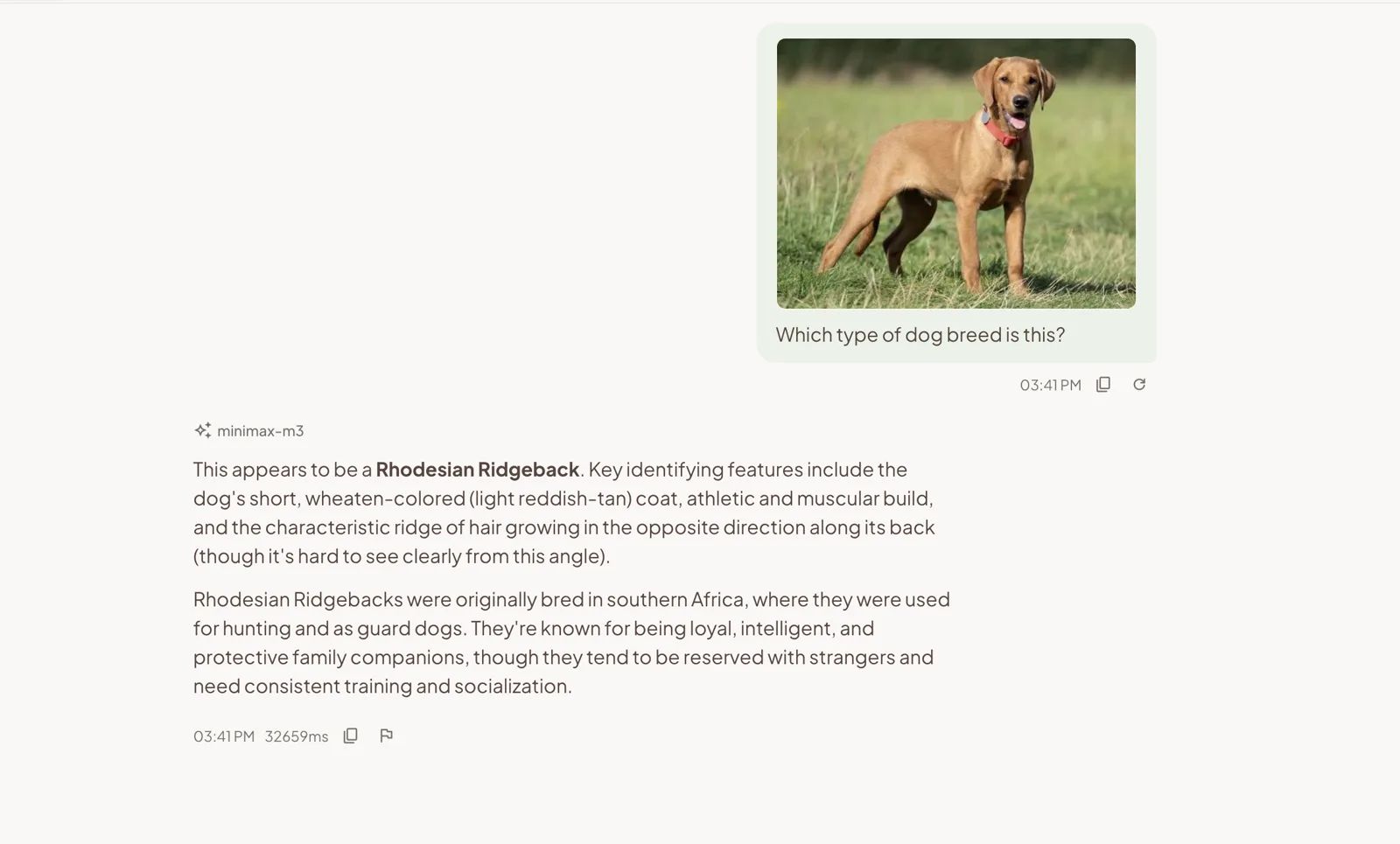 PearPie chat identifying the breed of a dog from an attached photo